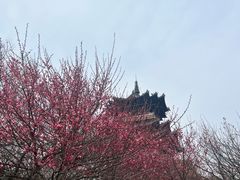 -杭州半山国家森林公园