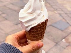 -袁妈红豆汤(重庆总店)