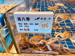 活八带-船歌·鱼水饺青岛菜(闽江二路店)