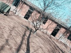 -亲兄弟真人CS团建拓展基地