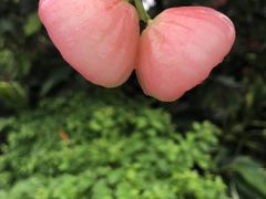 -美的鹭湖森林度假区
