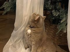 -MIMO CAFE(沙头角店)