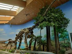 -延庆地质公园博物馆