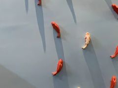 -福成厚江鱼壹号黑金冠好店(群力店)