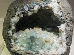 -安徽省地质博物馆