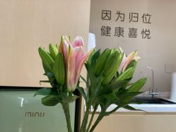 -归位瑜伽＆普拉提馆