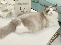 -元一肌肤管理中心