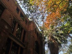 iphone_upload_pic-中山大学学者灵芝(园南路店)