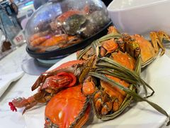 -半岛听涛蒸汽海鲜自助(K11店)