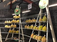 -都念榴莲·城市榴莲