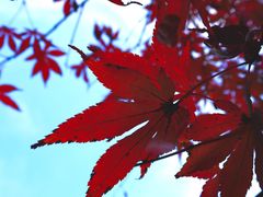 -金银湖国家城市湿地公园