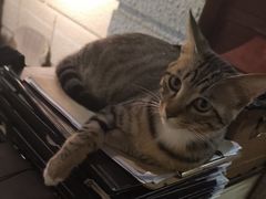 -逃脱反斗城沉浸剧情密室(北京路店)