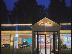 -Sultan pakistan苏单巴基斯坦