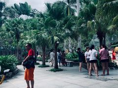 -100蛋泥浆浴