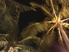 -Horizons Sky Bar & Cigar Lounge(太平洋丝绸酒店店)