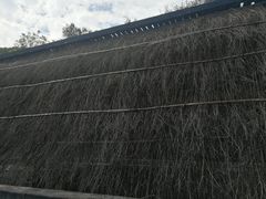-燊海井
