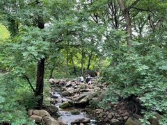-崂山九水游览区
