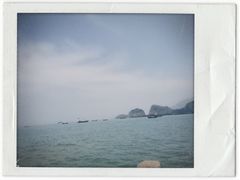 -枸杞岛