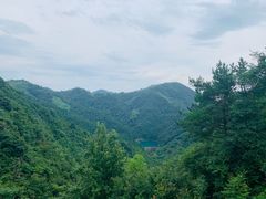 -四明山国家森林公园