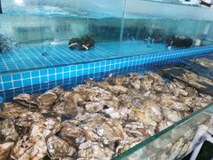 水产区-西兰渔场·三文鱼·海鲜·捞饭(建业·森林半岛店)