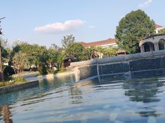 -上海东方佘山翰悦阁酒店·Vie全日制餐厅