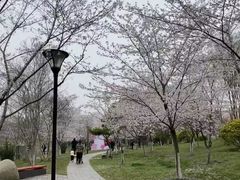-堤角公园