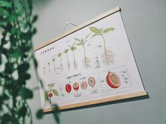 -滇咖啡体验店