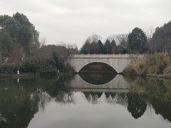 -眉山湿地公园(东坡区)