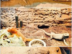 -FAIRYLAND龙族星球主题餐厅(凯丹广场店)