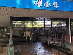 -光明农场大观园