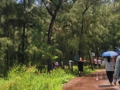 -大京沙滩