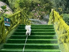 -沂蒙云瀑洞天景区