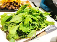豌豆尖-小街猪手(团结湖店)