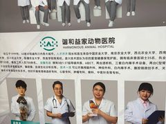 -谐和益家动物医院·免疫绝育·血液透析·宠保定点医院(高新伊藤分院)
