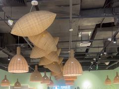 -采椰郎椰子鸡·脆皮鸡火锅(融创茂店)