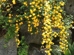 -中国茶叶博物馆(双峰馆区)