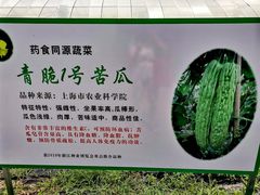 -阿林有机农庄