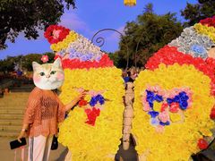 -松山湖梦幻百花洲