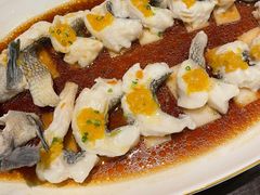 东星斑-甄御•海鲜新青岛菜(麦岛店)