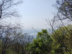 -紫金山山顶公园