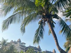 -海南清水湾莱佛士酒店