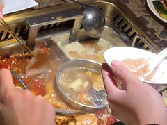 -蜀九鼎毛肚火锅(惠安店)