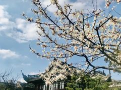-豫园