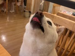 -柴の食堂·日式家庭料理·熊之肆(大学路店)