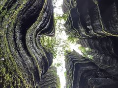 -梭布垭石林景区