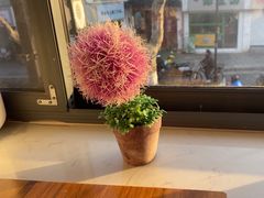 -笃笃笃糖粥(十全街店)