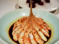 -南麓·浙里(外滩店)