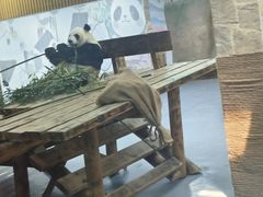 -无锡动物园·太湖欢乐园