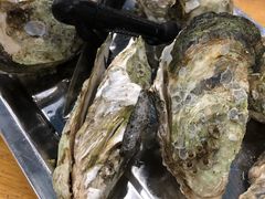 原只蒸生蚝-蚝得喜海鲜(东城店)
