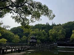 -忠山公园